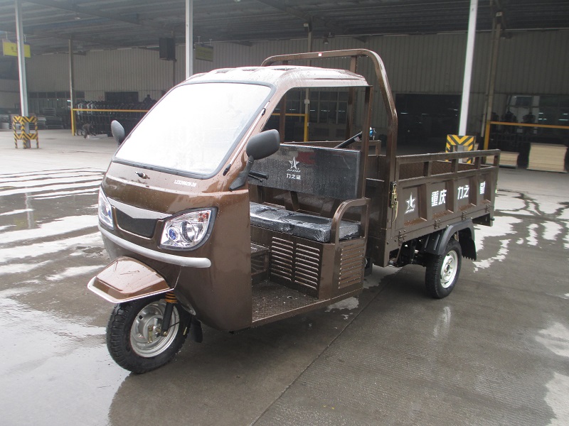 帶蓬電動(dòng)三輪代步車(chē)